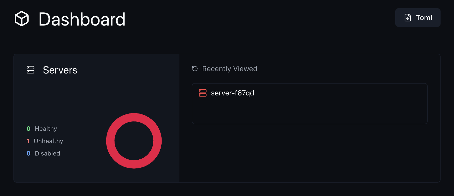 A screenshot of a browser showing the dashboard homepage with 1 server marked as "unhealthy"