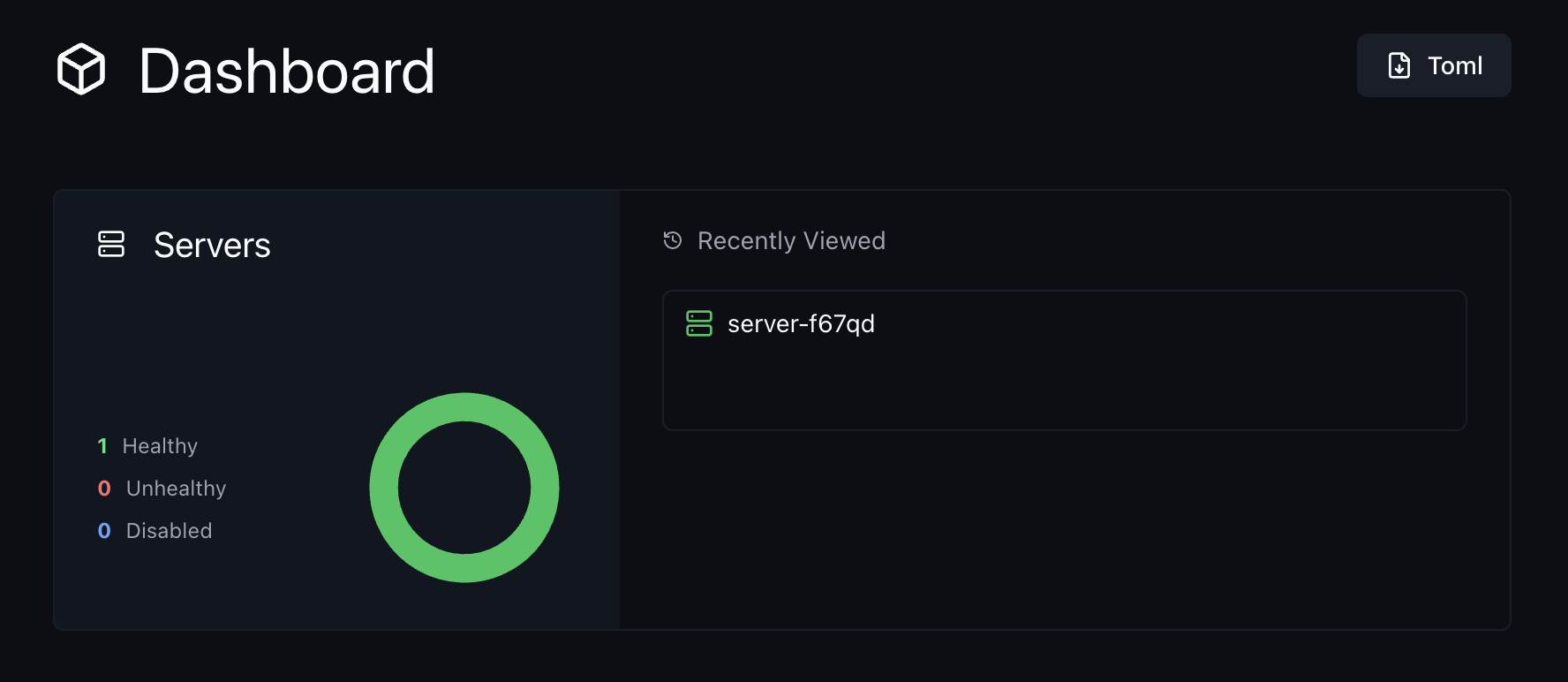 A screenshot of a browser showing the dashboard homepage with 1 server marked as "healthy"