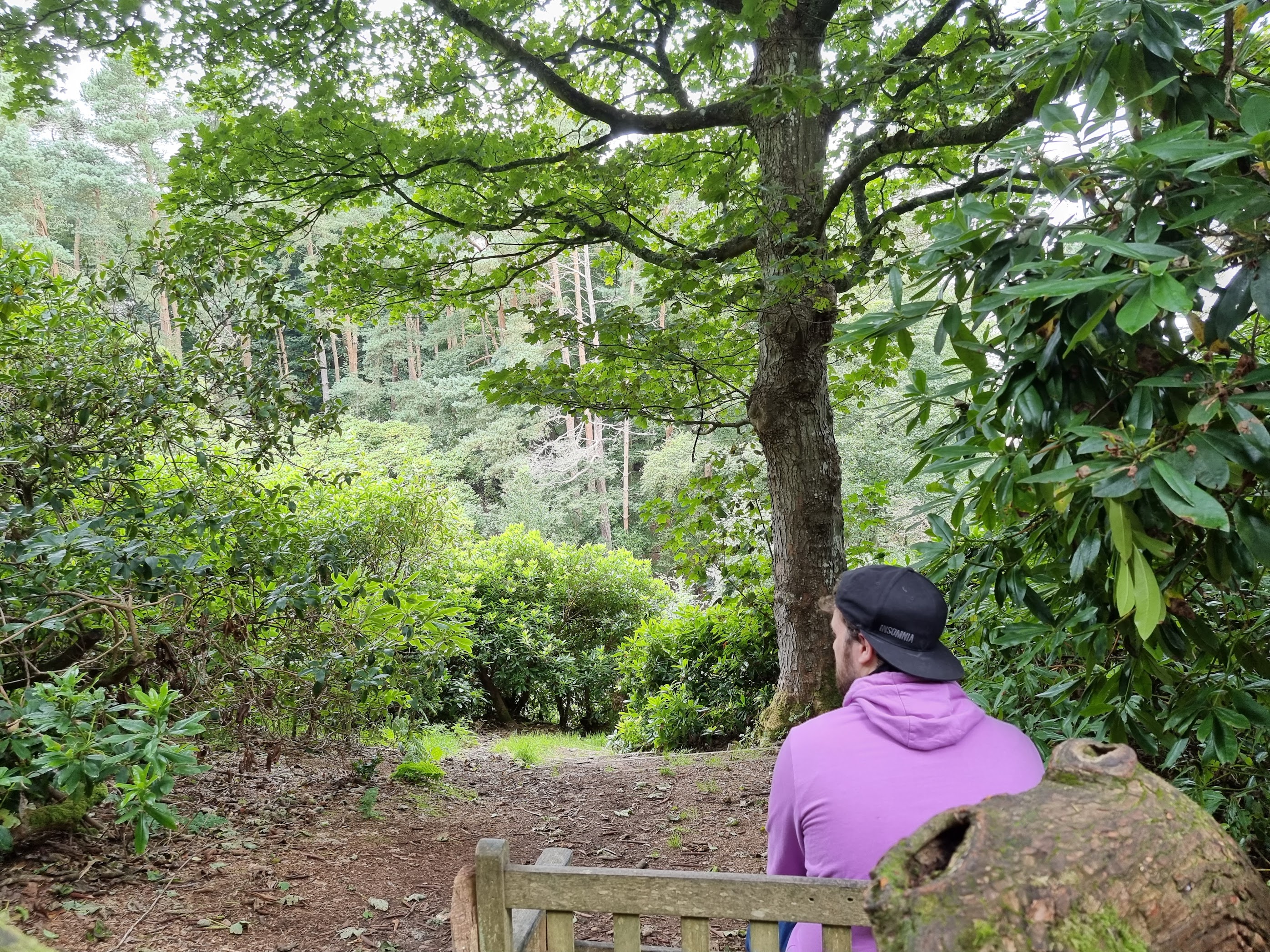 A photo of my friend Will sat on a bench in the woods pretending to look sad